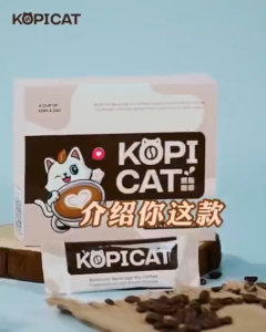 【50% discount】KOPICAT 排水肿燃脂咖啡 Fat Burn Slimming Coffee 瘦身 燃烧脂肪 控制食欲 减轻体重 排水 排水肿 消水肿