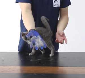 Găng Tay Chải Lông Rụng Cho Chó Mèo True Touch - Găng Tay Tắm Chó Mèo - A Pet Shop