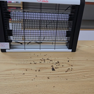 Đèn Bắt Muỗi Điện Tự Động Cỡ Lớn YANGZI – Hiệu Quả Tiết Kiệm Dễ Dùng Không Hóa Chất