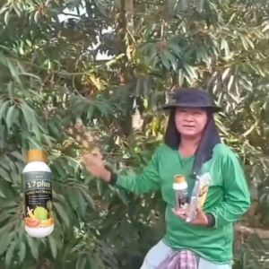 17 Plus 17 พลัส ปุ๋ยทางใบ ผลิตภัณฑ์สร้างความสมดุลให้แก่พืช สมบูรณ์ สะสมอาหาร เพื่อให้ใบใหญ่ใบหนา