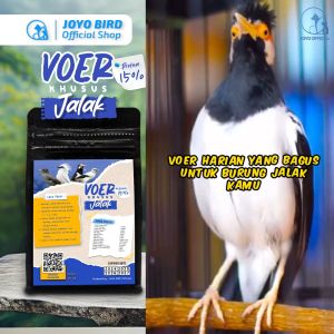 MAKANAN BURUNG JALAK | VOER BURUNG JALAK | VOER HARIAN | VOER NUTRISI KOMPLIT VOER JALAK PROTEIN 15% 300 gr