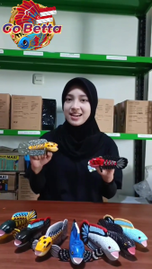 Handmade Channa Fish Replica Statue – Flaring Mouth Limited Edition | Premium Decorative Piece for Betta & Channa Enthusiasts | High-Quality Wooden Craft with Durable Epoxy Finish | Perfect Aquarium Accessory & Collectors Item | Unique Gift for Fish Hobb