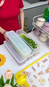 SEA JJTกล่องเก็บผักสด กล่อง ใส่อาหาร กล่องถนอมอาหาร กล่องใส่ผัก กล่องใส่อาหาร กล่อง กล่องข้าว กล่องเก็บของ vegetable box กล่องที่เก็บเครื่องครัวหลายช่องสำหรับเครื่องเทศธัญพืชและผลไม้-ภาชนะซีลสุญญากาศ