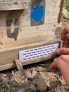 10pcs Sekat Ratu Lebah Apis Cerana Security Queen Excluder