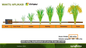 Insektisida Hama Virtako 300 SC 50ml Tiametoksam 200 Klorantraniliprol 100gl