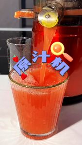 E-HOME SLOW JUICER 99% Fresh Fruit Juice Rpm 65 150w Fruit Extractor Blender Slow Chewing Cold Press Juicer Ekstraktor Jus Buah Segar Juicer Dengan Reverse Speed - Lazada
