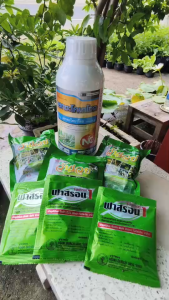 ชุดกำจัดเชื้อราโรคพืช 3 in 1 สูตรออกฤทธิ์3ทางช่วยป้องกัน กำจัดเชื้อราและบำรุงฟื้นต้นใช้ดีคุ้มมาก1ชุดได้20ไร่ เป็นยาเย็นฉีดผ่าดอกได้ กำจัดเชื้อราหยุดชะงัก