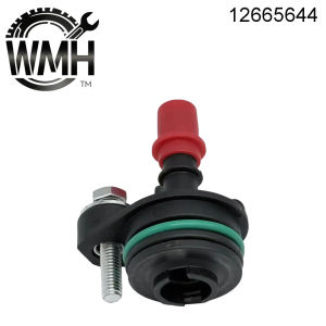 PCV Valve 12665644 12637666 12685407 For Chevrolet Cruze Equinox Malibu Buick Encore GMC Terrain