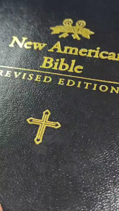 PCBS New American Bible (Revised Edition) NABRE 035GE (JP) Black