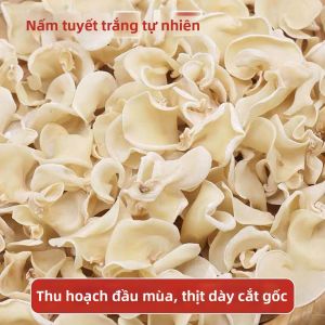 Nấm Mèo Trắng Chất Lượng Cao Khô