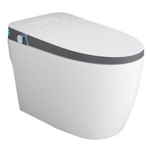 TEM | Child Friendly Smart Toilet with Massage and SPA