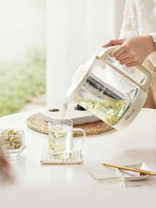 Bear | Titanium Infused Tea Maker Spray Steaming Large Capacity Water Kettle