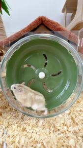 Hamster Wheel Silent Running Wheel Hamsters Ultra Quiet Hanging Exercise Wheel With Bracket Small Pet Toys