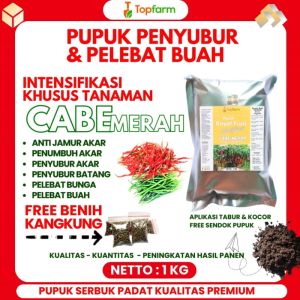 Pupuk Cabe Anti Keriting / Pupuk Pelebat Buah Cabai Keriting / Pupuk Kocor Tanaman Cabe / Obat Cabai Busuk Buah / Pupuk Pembesar Buah Cabe