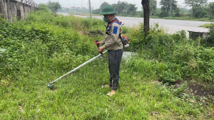 Máy Cắt Cỏ Đai Đeo Vai Husquama 543 Nòng 41 Động Cơ 2 Thì Công Suất 15KW Bảo Hành 12 Tháng