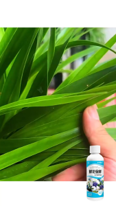 100ML Pengawet Bunga / Larutan Nutrisi Bunga / Pengawet Bunga Segar