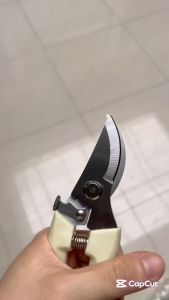 Gunting Dahan & Ranting: Scissors Curve Material Tebal Stainless Steel