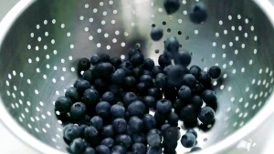 Dried blueberries 100-200g (Organic No Sugar Added Healthy Low Carb Diet Dried Snack from USA) bag
