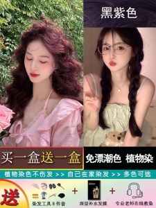 Black Purple Hair Color Cream Grape Purple Female Plant Genuine Goods Pure Blue Purple at Home Creme Cassis G. B Purple Gray Drift-Free