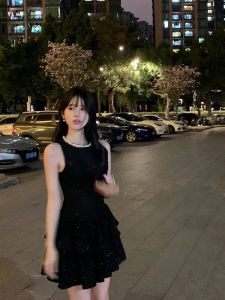French Style Classic Style Black Thin and Glittering Vest Dress Female Fancy Socialite Temperament Waist-Controlled Cake Dress Short Skirt