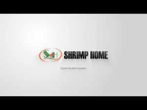 Túi lưới mịn đựng vật liệu lọc cốt nền khóa kéo nhựa bể cá tép thủy sinh