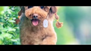 📣หมื่นเมตรไม่มีนก📣ไล่นกพิราบถาวร เครื่องไล่นก อุปกรณ์ไล่นก ไล่นกultrasonic การป้องกันการขับไล่ พร้อมใช้งานโดยไม่ต้องเสียบปลั๊ก ขับไล่เงียบ ไม่เป็นอันตรายต่อสัตว์เลี้ยงของมนุษย์ ไล่นกพิราบ เสียงไล่นก ที่ไล่นก ที่ไล่นกพิลาบ เครื่องไล่นกพิราบ