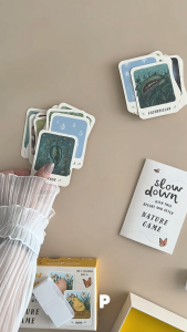 Magic Cat- Slow Down Before & After Nature Game