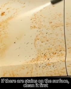 Car Bug and Tar Remover 450ML / Asphalt Remover / Road Tar Remover Car Degreaser Multi-Purpose Cleaner