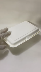 (50Pcs) Biodegradable Disposable 2 Compartment Lunch Box 1000ml / Bio 2 Compartment Tapau Lunch Box Biodegradable Container Biodegradable Garbage Bag Food Warmer Lunch Box - Lazada