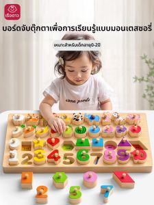 STARRY ARK | Montessori Educational Matching Wooden Blocks for Toddlers 1-2 Years Old
