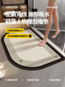 Water Absorbent Bathroom Mat Anti-Slip Floor Carpet Toilet Washing Room Diatom Mud Material Home Decorative Entrance Mat