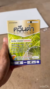 ควินคลอแรก 50 ควีนดำ สารกำจัดวัชพืช ในนาข้าว กำจัด หญ้าข้าวนก ลิเก กระดูกไก่ หญ้าแดงหญ้าพุ่มพวง ข้าวไม่โทรม ข้าวไม่แดง 100 กรัม ตราซิกม่า