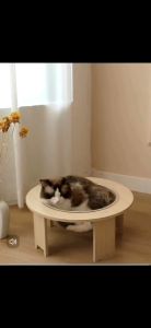 【COD】Cat Space Capsule House Detachable Wood Stand Nest Small Animals Transparent Sleeping Bed Pet Supplies Kucing 猫屋太空舱