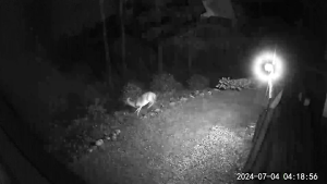 Solar Ultrasonic Animal Repellent Solar Pest Bird Reject Repeller Outdoor Garden Snake Deterrent Mouse Cat Dog