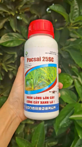 [VTNN TIEN KHOA] PACSAI 25SC - Paclobutrazol 250g/L (1 Chai 500ml) Điều Hòa Sinh Trưởng Đẻ Nhánh Cứng Cây Tăng Năng Suất