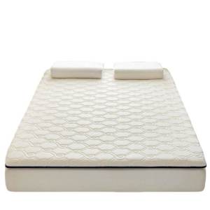Bejirog Arctic Fleece Memory Foam Mattress for Home Bedroom Tatami Protective Pad Special for Student Dormitory Single Bed