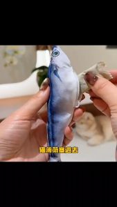 Doge&Orange Catnip Fish Doll พร้อมส่ง ทุกลาย (ดิ้นไม่ได้) ปลาแคทนิป ของเล่นแมว ตุ๊กตา ปลาแมวฟิน ขนาด 20 ซม. COD MIP0026