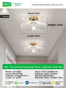 DGY | Modern Simple Passage Entrance Light