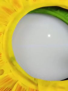 【จัดส่งจากไทย】หน้ากากดอกทานตะวัน สีเหลือง หมวกดอกทานตะวัน ชุดดอกไม้ สวมใส่ง่าย สําหรับเต้นรําปาร์ตี้เทศกาล