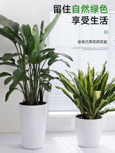 Water-Free Bean Bag Self-Absorbent Plastic Flowerpot Factory Direct Modern Minimalist Large Floor Knee High High Basin round