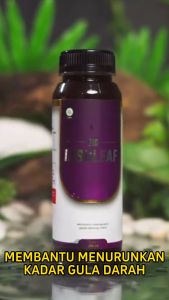 BIO INSULEAF SOLUSI DIABETES || 100% HERBAL ALAMI (2 BOTOL)