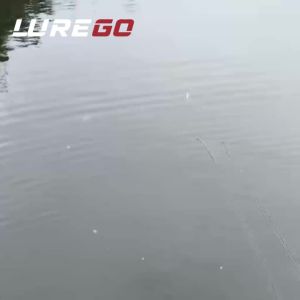 1PC 360 Độ Tự Nhiên Swimbait 18Cm 50G Chậm Chìm Cứng Mồi Dụ Cá Kẻ Săn Mồi Cho Nước Ngọt & Nước Mặn Câu Cá Bass