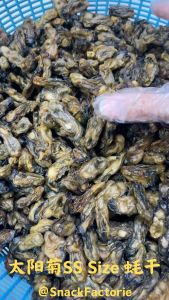 韩国 太阳菊牌 蠔干(SS)Korean Dried Oyster (SS) (2-3cm)