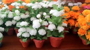 ดอกมะลิ กระถางต้นมะลิ ดอกมะลิปลอม ต้นมะลิปลอม ดอกมะลิตกแต่ง ต้นไม้ไหว้พระ ไหว้แม่ ต้นไม้ตกแต่งบ้าน