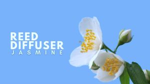 ARA Reed Diffuser JASMINE: Pengharum Ruangan Aromatherapy untuk Penggunaan Sehari-hari