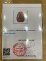 Hổ phách baltic (amber) Nga. 