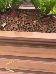 TILAIEN | Đèn Cảm Ứng Chuyển Động Chống Nước Trang Trí Cầu Thang Kẹp