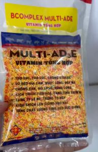 Daeyong Bcomlex Multi ADE ( 100 Gr ) Mượt lông đẹp mã mọc lông nhanh chống mổ cắn kích thích tiêu hoá dùng trong Thú Y