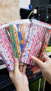 🔥ยกแพ็ค12แท่ง🔥ดินสอหัวยางลบลายการ์ตูน เขียนลื่น ลบนิ่ม คุณภาพดี ลายสวยหลากหลาย เหมาะแจกเด็ก งานวันเกิด กิจกรรมโรงเรียน ✏️🎉