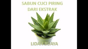 Sabun cuci piring 5 Liter aloe vera asli tidak kering ditangan siap siap tangan tetap cantik halusss
